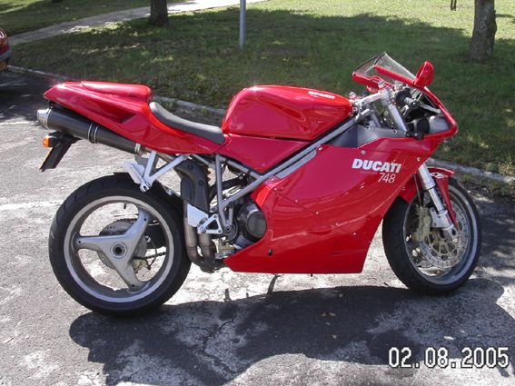 mgd218