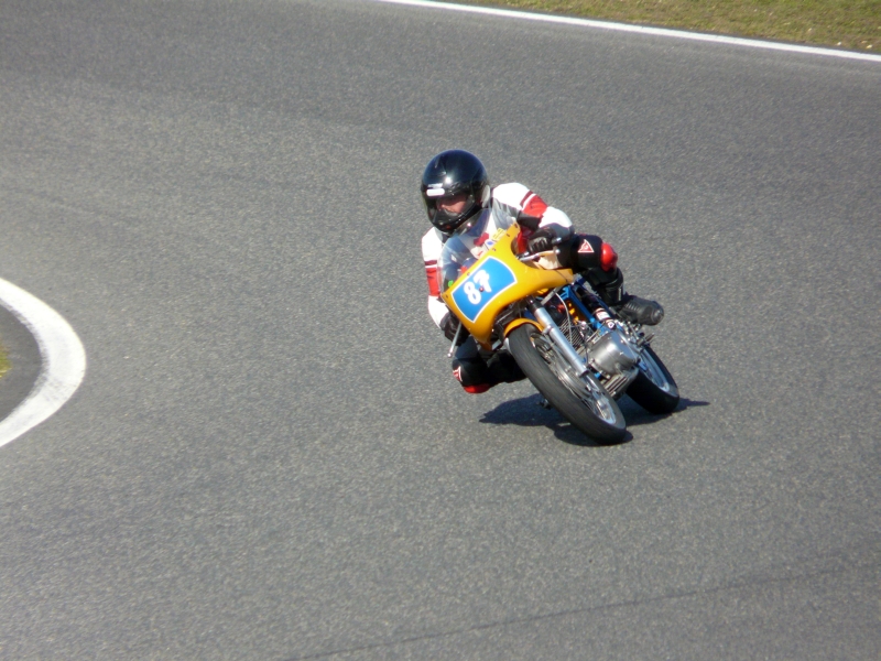 101 PANA 006
