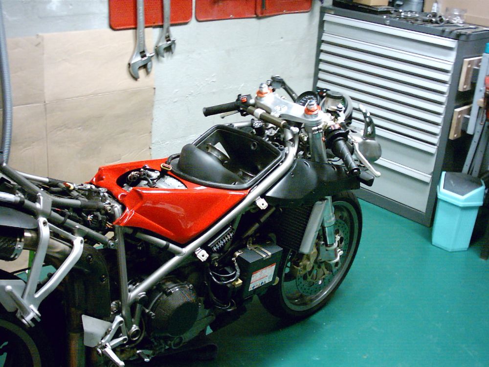mgd248