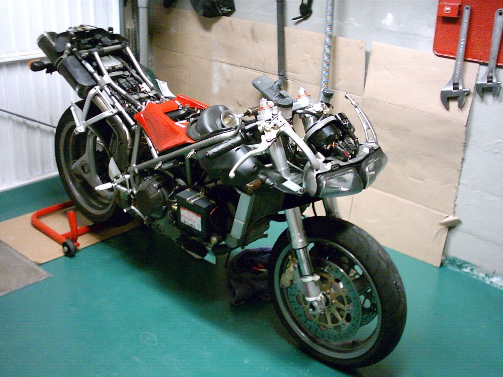mgd249