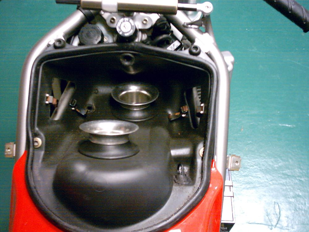 mgd251