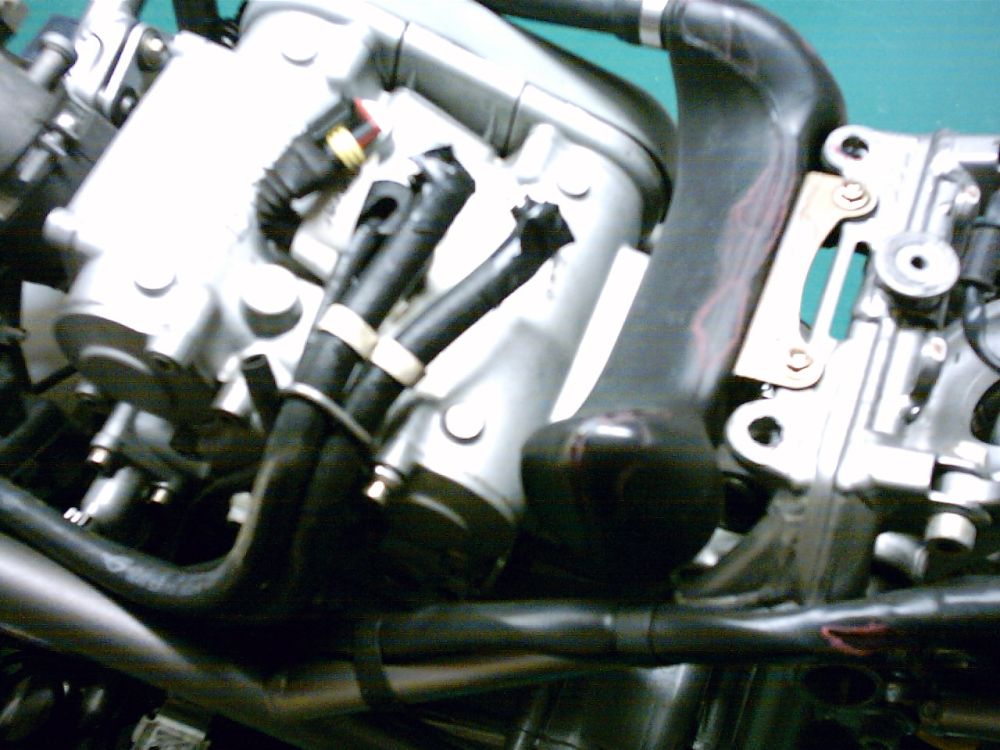 mgd256
