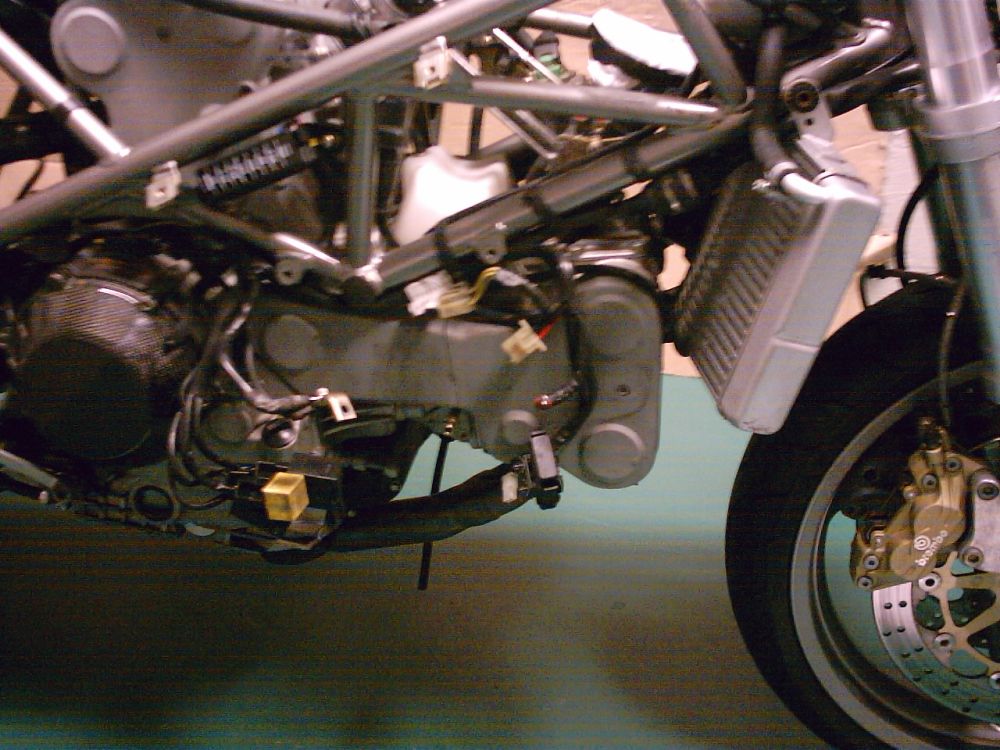 mgd269