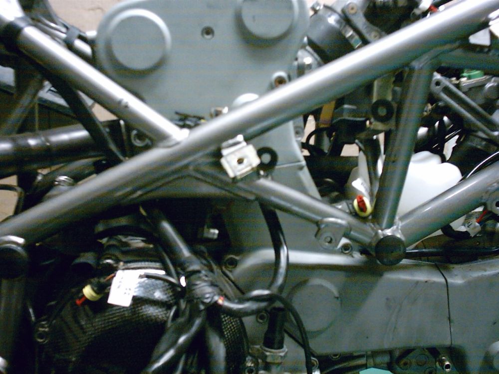 mgd281