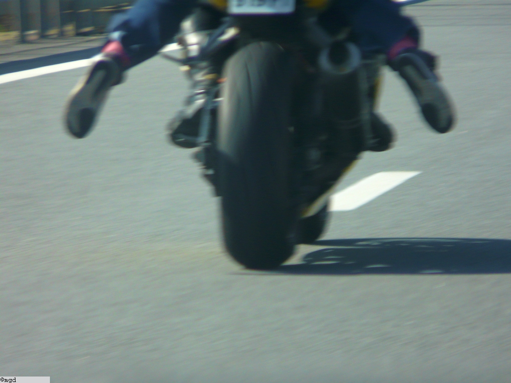 MotoGP2010 011