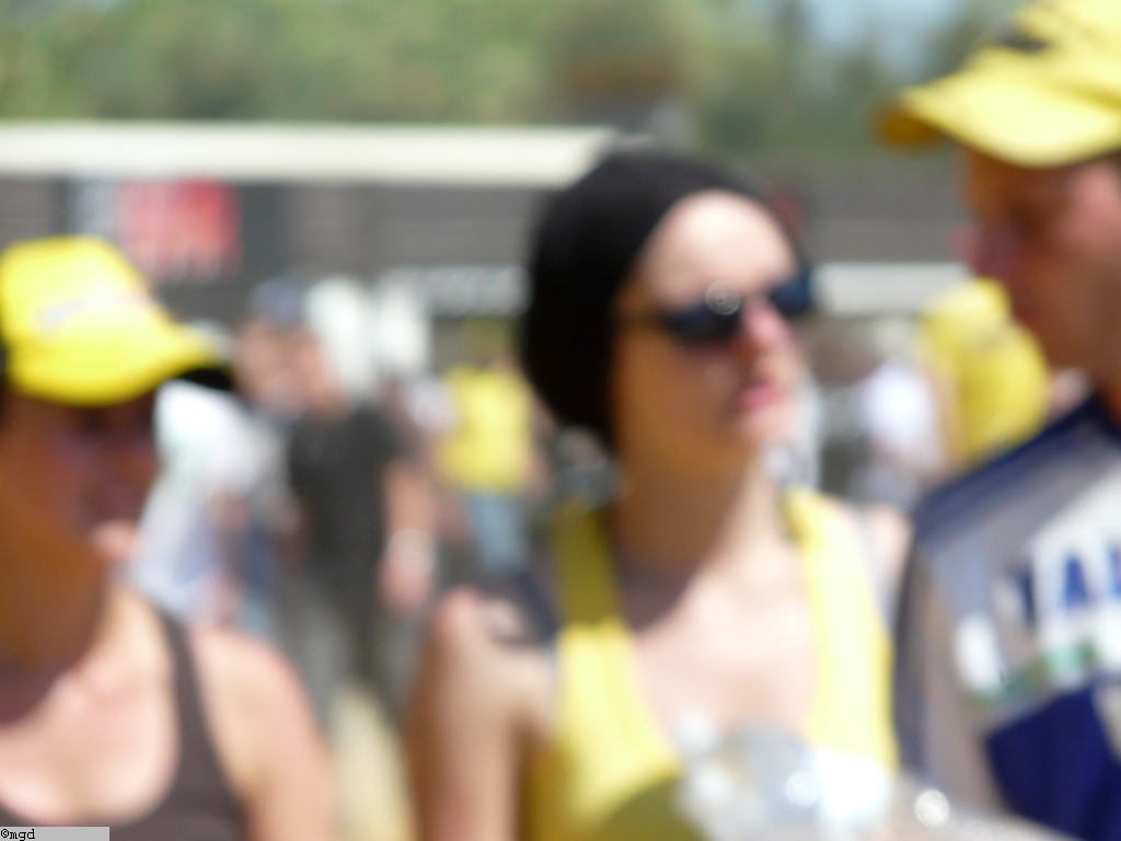 MotoGP2010 090