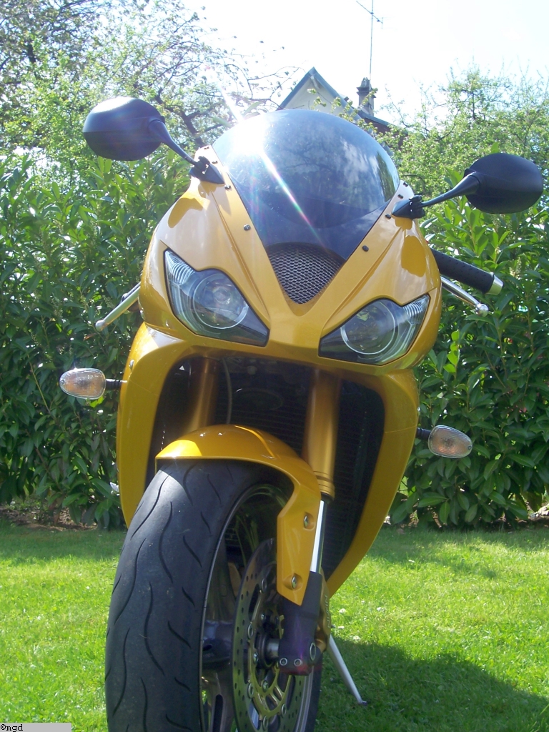 Triumph09 003