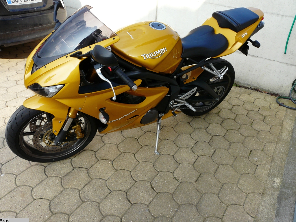 Triumph 011