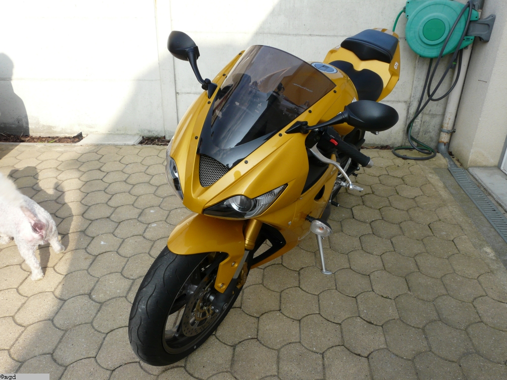 Triumph 012