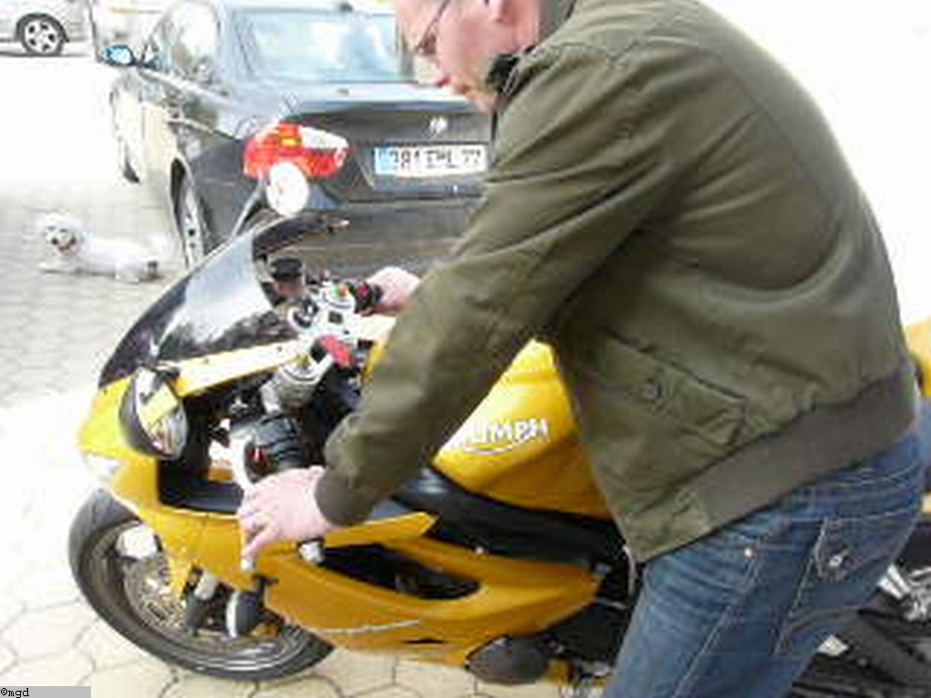 Triumph 013