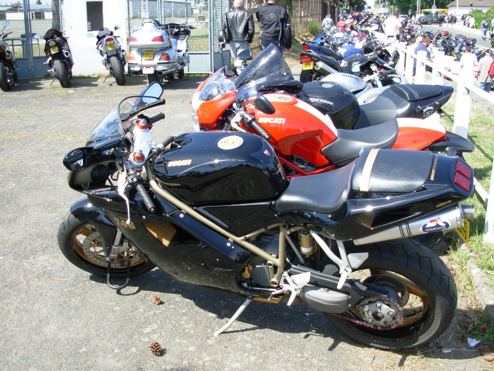 mgd319